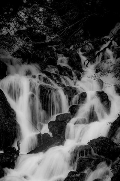 2018_06_05_Haute Savoie  (0053_bnw).jpg - Balme De Thuy (Juin 2018)